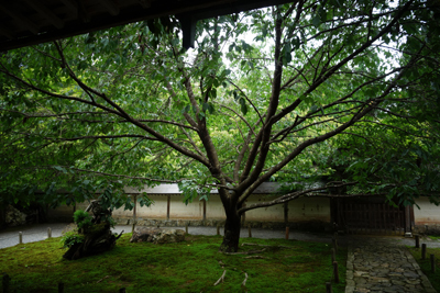 kyoto2017-7-11.jpg