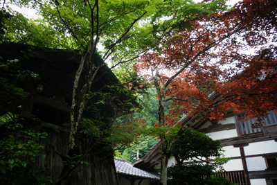 kyoto2017-7-4.jpg