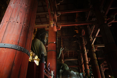 nara2017-7-4.jpg