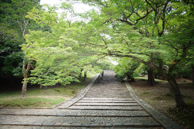 nara2017-7-8.jpg