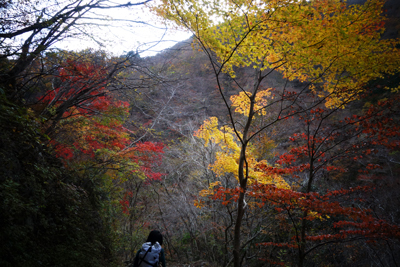 sada-yama2018-11-013.jpg