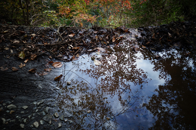 sada-yama2018-11-015.jpg