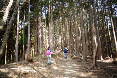 sada-yama2018-3-5.jpg