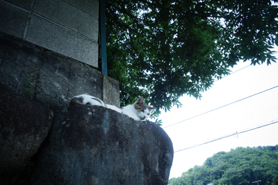 sada-yama2018-8-19.jpg