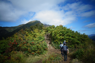 sada-yama2018-9-4.jpg