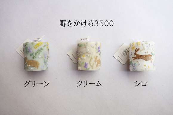 DSC08095-1.jpg