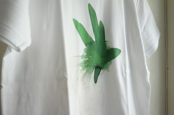 DSC08348-1.jpg