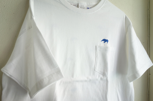 DSC08372-1.jpg